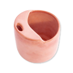 HANE X Roni Tumblers